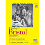 Strathmore Bristol Vellum Surface